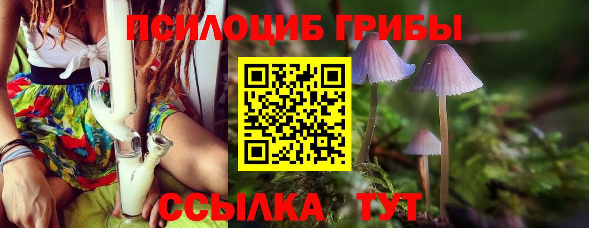 Псилоцибиновые грибы Magic Shrooms Чебаркуль